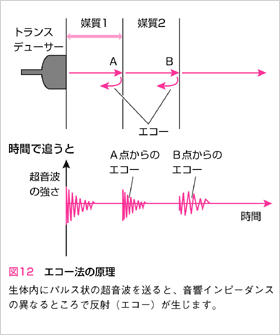 }12FGR[@̌